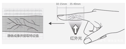 指静脉.PNG