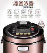 智能语音电压锅丨语音提示芯片丨语音报警芯片丨语音控制芯片