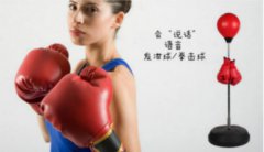 语音识别之宣泄球/拳击球丨语音播放芯片丨语音储存芯片丨语音ic