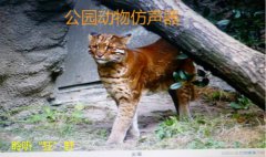 公园仿声器语音ic丨庭院语音播放器丨花园MP3芯片丨仿真器OTP语音芯片