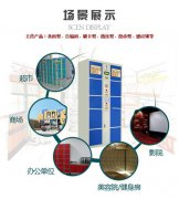 智能存放柜语音ic丨储存柜语音播放芯片丨寄存柜语音储存芯片丨存放柜语音提示芯片
