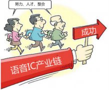 努力、人才、整合是语音IC的决胜关键